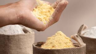 Besan Rolls Recipe in marathi
