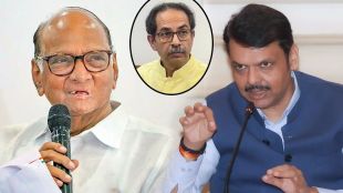 Devendra Fadnavis on CM face