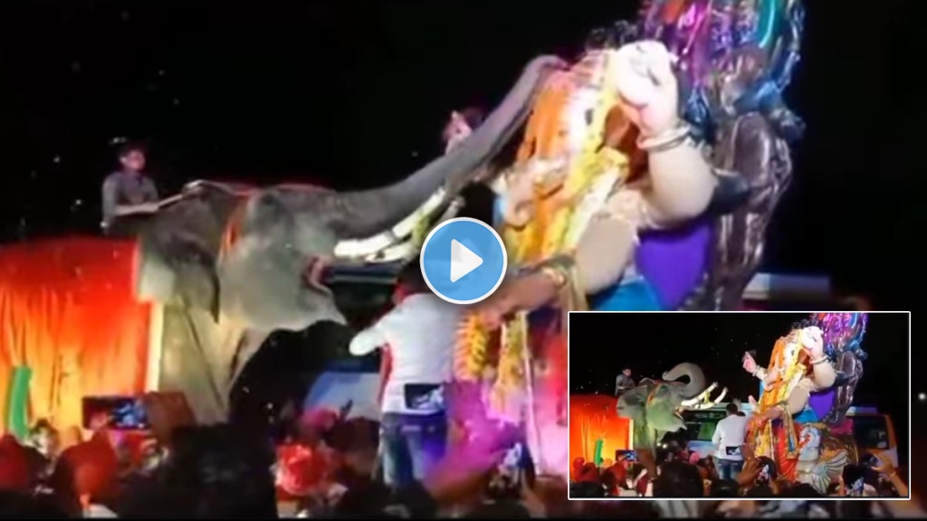 Ganesh Chaturthi 2024 ganesh aagaman viral video elephant welcomes bappa by putting mala haar around his neck ganeshotsav