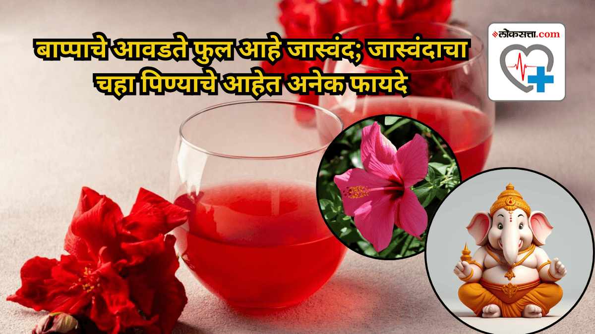 The favorite flower of Lord Ganesha is Hibiscus jaswand knwo Health ...