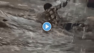 Mumbai rains in Bhandup a Man lost balance due to heavy rains and water flow viral video