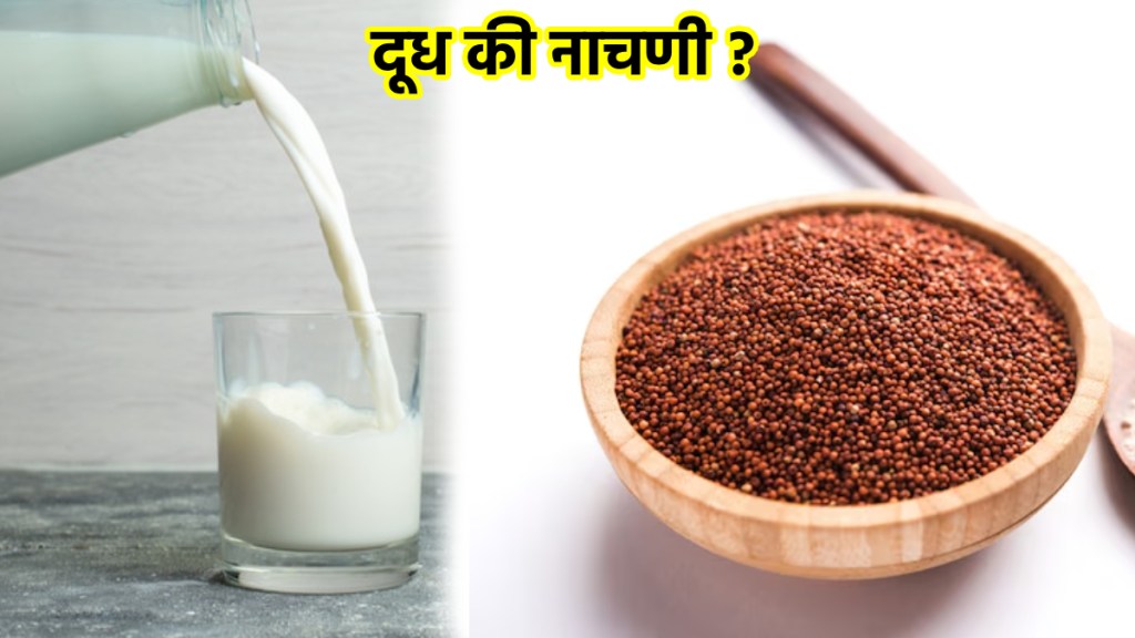 Milk Vs. Ragi: Which Ingredient Has More Calcium? Milk Vs. Ragi: Which Ingredient Has More Calcium?