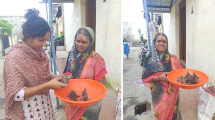 Clay idols, potters, Solapur,
