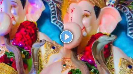 snake went to visit Bappa idol snake went to visit Bappa idol
