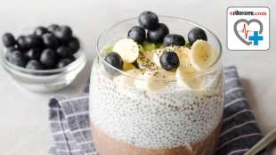 blackcurrant and chia seeds water benefits