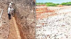 लोकशिवार: क्षारपड जमीन निर्मूलनाची यशकथा!