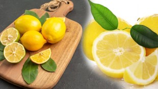 can lemons really help with acidity heres what you didnt know health benefits in marathi