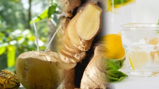 What Happens If You Drink Coconut Water, Lemon Water, Ginger Shot Every Day
