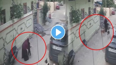 Shocking video Brave Mother Saved his Kid from Stray Dogs in Karimnagar Telagana Shocking video Brave Mother Saved his Kid from Stray Dogs in Karimnagar Telagana