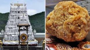 Tirupati Laddu Revenue in Marathi