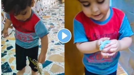 The little one caught the lizard in his hands