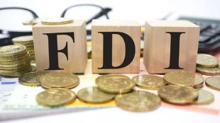 What Is FDI pixabay