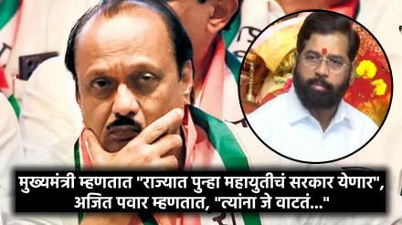 ajit pawar on mahayuti in assembly elections 2024 ajit pawar on mahayuti in assembly elections 2024