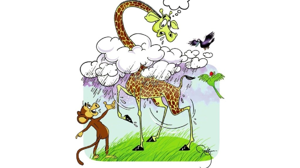 balmaifal Jiru giraffe and rain