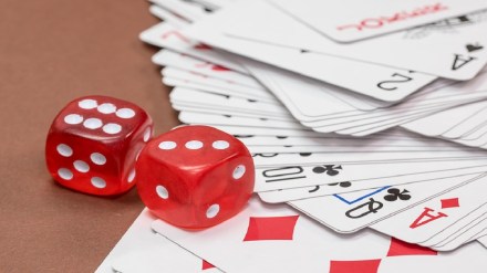 online rummy, High Court, State Govt,