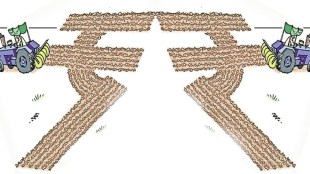 Agricultural policy changes Increase in edible oil import duty Elections farmer print eco news