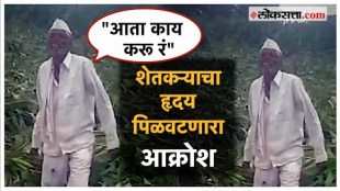 farmer loss due to heavy rain in Marathwada