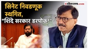 Sanjay Raut criticized government over senate Election