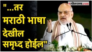 Union Home Minister Amit Shah appealed to speak mother tongue even at home