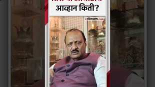 Deputy Chief Minister Ajit Pawars reaction to Parivartan Mahashakti Aghadi
