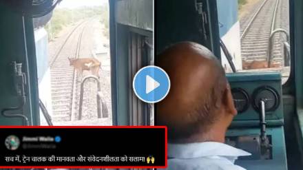 indian railway Loco Pilot Saved Cow's Life