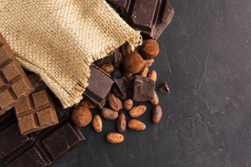 which country is the largest producer of cocoa in the world