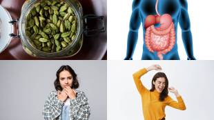 benefits of cardamom daily one