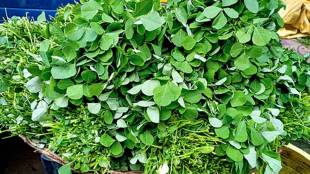 Rising vegetable prices becoming major issue for women running home based restaurants