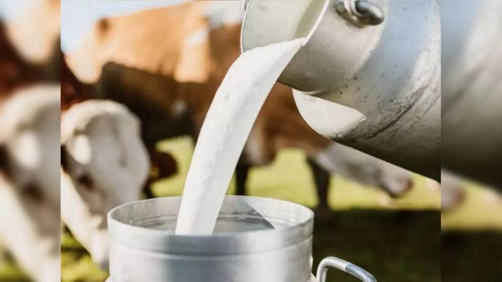 Dairy Development Project expand from 11 to 19 districts in Vidarbha and Marathwada