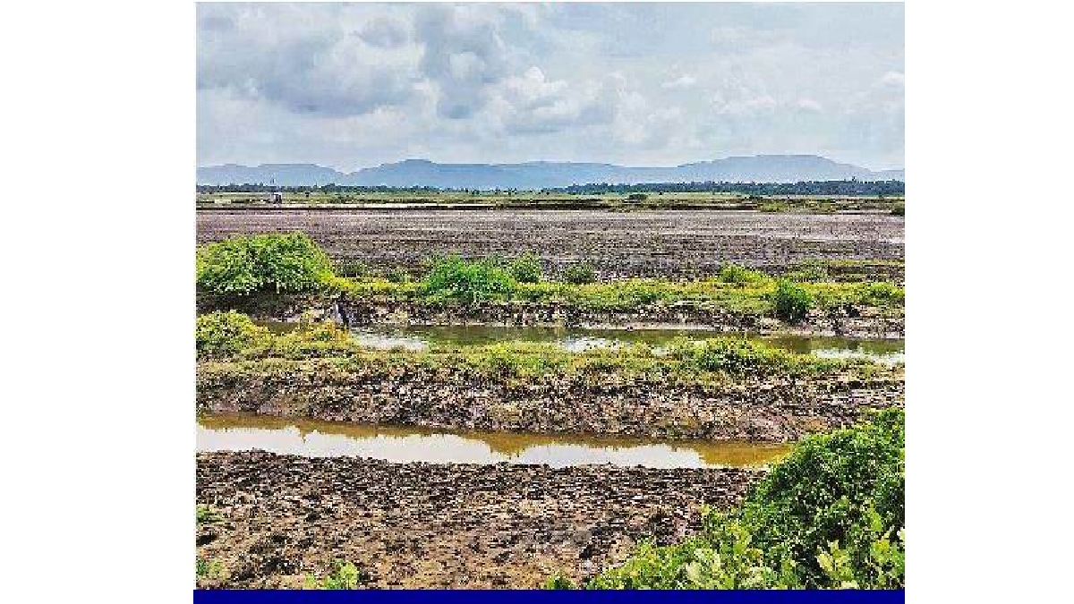 Textile project of Reliance in Palghar