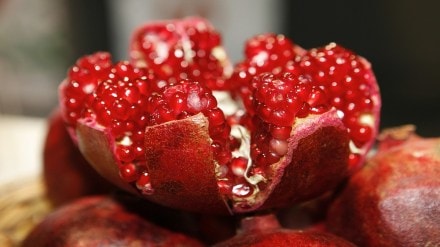 Pomegranate exports Australia, Pomegranate,