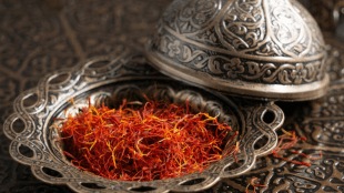/kesar-saffron-cultivation-at-home