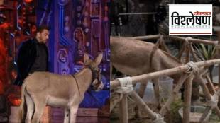 Bigg Boss 18_ donkey Gadhraj gets evicted