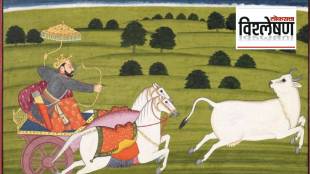 cow to be rajyamata gomata declared by maharashtra government