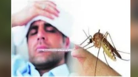 Mumbai dengue cases increased slightly while winter fever cases decreased