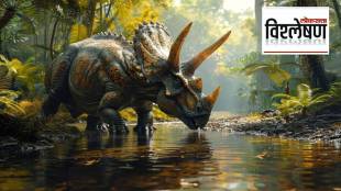 Asteroid that ended the dinosaurs 66 million years ago was not an isolated event.