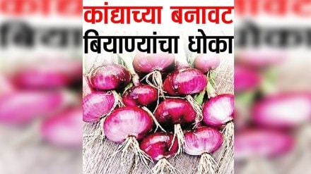 loksatta Lokshivar fake onion seeds in the market has increased for sale