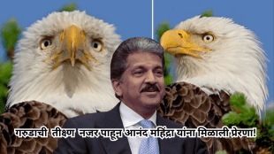 How to stay focused Anand Mahindra explains by sharing video of bald eagle
