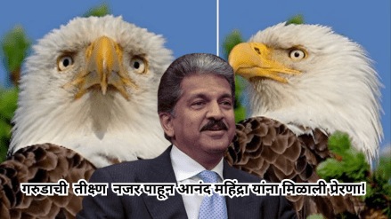 How to stay focused Anand Mahindra explains by sharing video of bald eagle