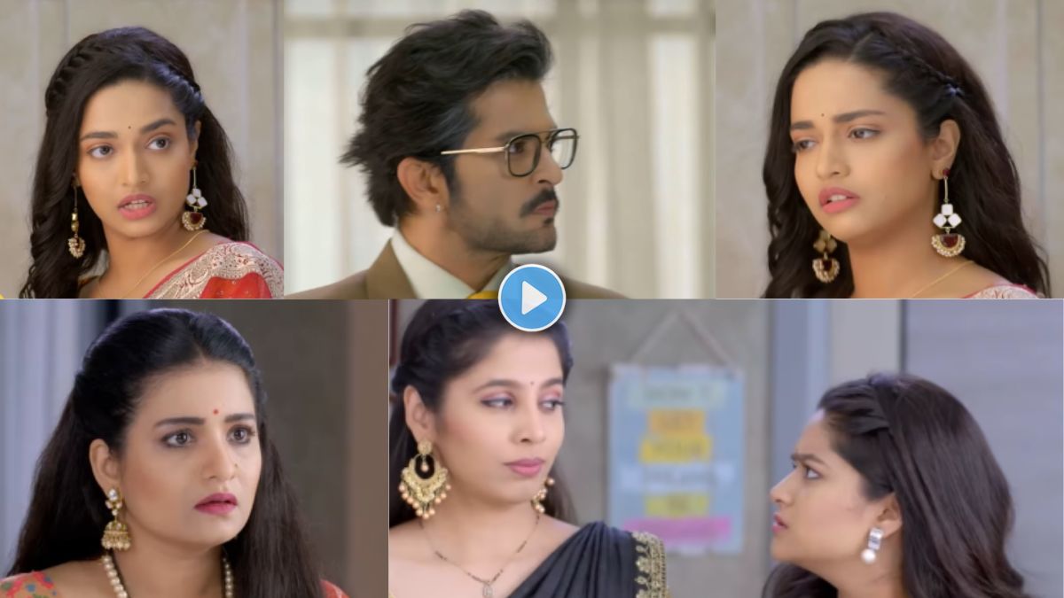 Navri navri mile hitlarla marathi serial upcoming episode twist new promo ...