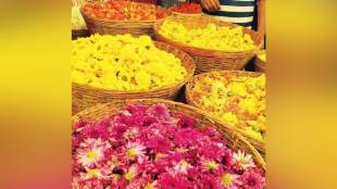 Farmers in thane district are shifting to flower and fruit cultivation for higher income