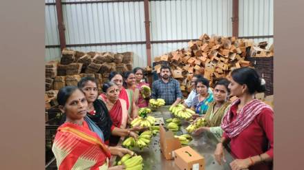 demand for bananas in navratri has decreased
