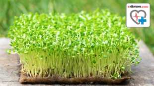 Methi sprouts benefits