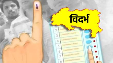 problems of Vidarbha