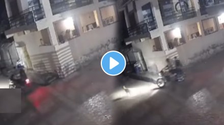 Viral video while a couple was going somewhere on a bike in the Dark of night a lion came from the front what happened next will shock you Viral video while a couple was going somewhere on a bike in the Dark of night a lion came from the front what happened next will shock you