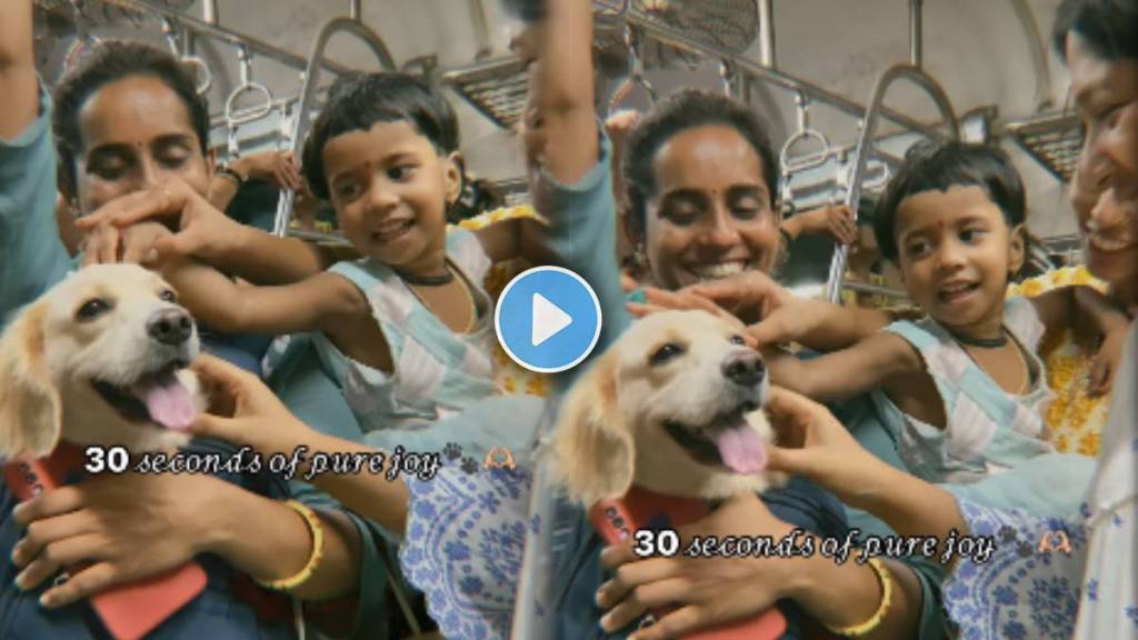 Pet dog Minnie Travel in local train Pet dog Minnie Travel in local train
