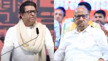 What Raj Thackeray Said About Sharad Pawar?