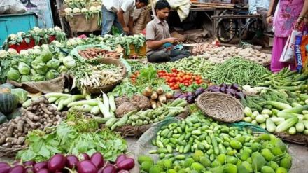 Traders reported that price of coriander decreased compared to last week and price of fenugreek is on rise