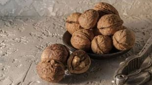 walnut-benefits