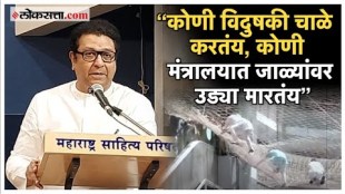 MNS Chief Raj Thackeray criticized politicians over maharashtra politics